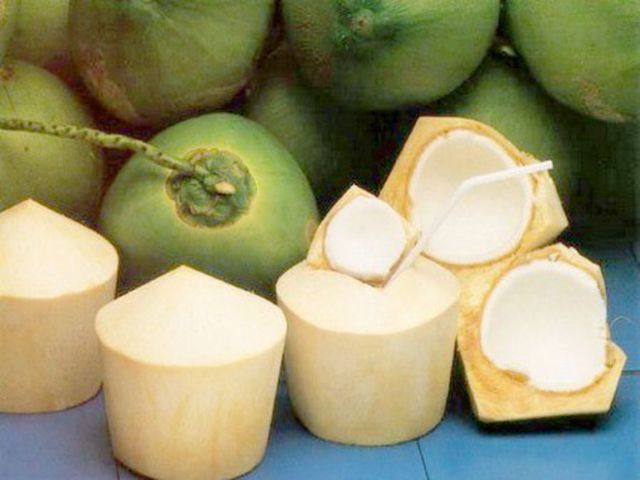 Dừa Miền Tây nước ngọt được nhiều du khách yêu thích